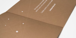 Zaniah, Carte deux volets, pantone métallisé, détail