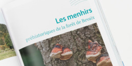 Design et graphisme, choix typographie, livre
