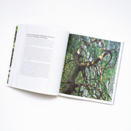 Guide, graphisme Zaniah, Parcs et Jardins, mise en page, plan large