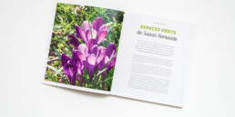 Guide, graphisme Zaniah, Parcs et Jardins, réalisation de la grille de mise en page