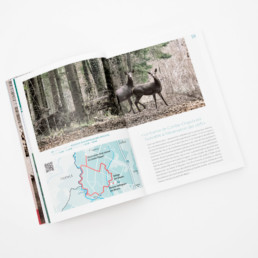 atelier zaniah, mise en page, guide édition, Livre domaine activité et loisirs Suisse romande