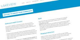 Réalisation d'un site wordpress. Adaptation d'un template existant sur la base de l'identité visuel de Lakeview