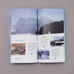 Livre, mise en page, pictogramme, typographie