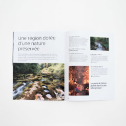 Brochure, typographie