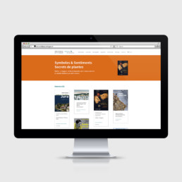 zaniah, webdesign, digital, responsive, page accueil