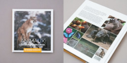 cover guide animaux, éditeur Creaguide, Création et mise ne page du contenu par bureau de graphisme