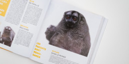 cover guide animaux, édition activité et loisirs en Suisse romande, thème: parc et zoo, photo singe de nuit