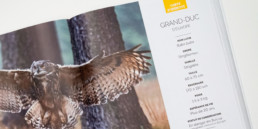 cover guide animaux, édition activité et loisirs en Suisse romande, Fiche info et photo Grand-Duc d'Europe.