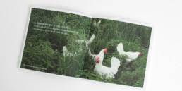Graphisme et mise en page double page photo et citation.
