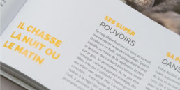 détail, guide, graphisme, mise en page, livre, typographie
