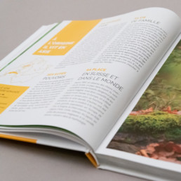 Article animaux, texte de présentation, graphisme et mise en page, atelier de graphisme, région Yverdon-les-bains