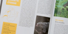 guide graphisme, mise en page, infographie carte, situation des zoo