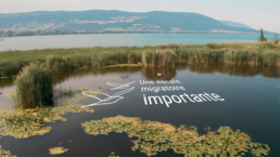 Video, yverdon région, lac de neuchâtel, integration texte