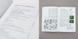 Livre botanique, sommaire et article, typographie, grille de mise en page