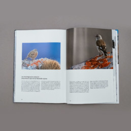 Graphisme, images et texte, livre photo