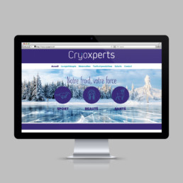Site internet, société Cryoxperts, création design logo, grille de mise en page par Bureau de graphistes à Orbe